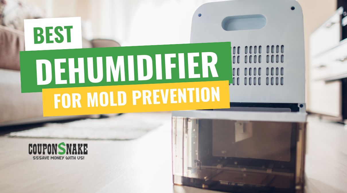 Best Dehumidifier for Mold Prevention — What Really Works to Keep Your Home Dry
