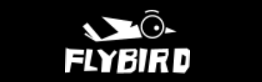 FlyBirdFitness.com Logo