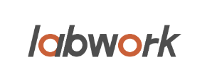 LabWorkAuto.com Logo