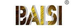 Baisi Wig Logo