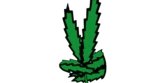 Luxury Leaf Logo