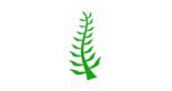 PureFoodSupplements Logo
