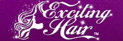 Exciting Hair Logo
