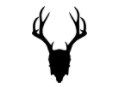MadRabbit.com Logo