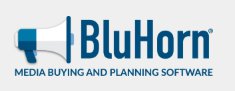 BluHorn Logo
